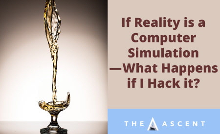 realitysimulation